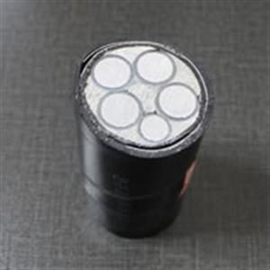 [NH-YJLV]耐火鋁芯交聯聚乙烯絕緣聚氯乙烯護套電力電纜